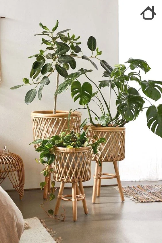 Indoor Pots 1