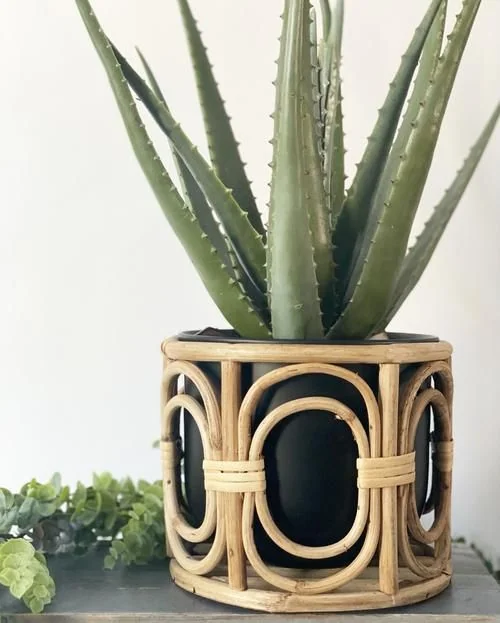 Indoor Pots 9