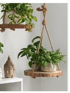 Hanging Pots 5