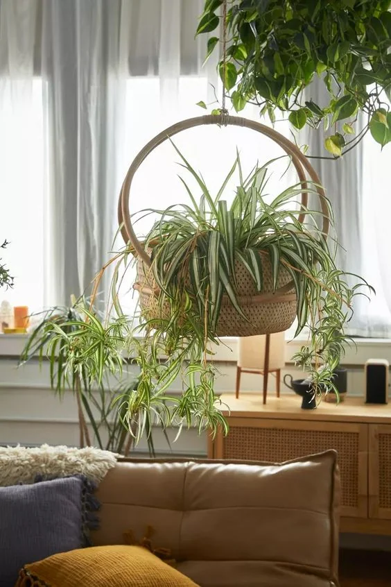 Hanging Pots 4