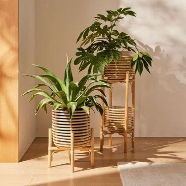 Indoor Pots 2