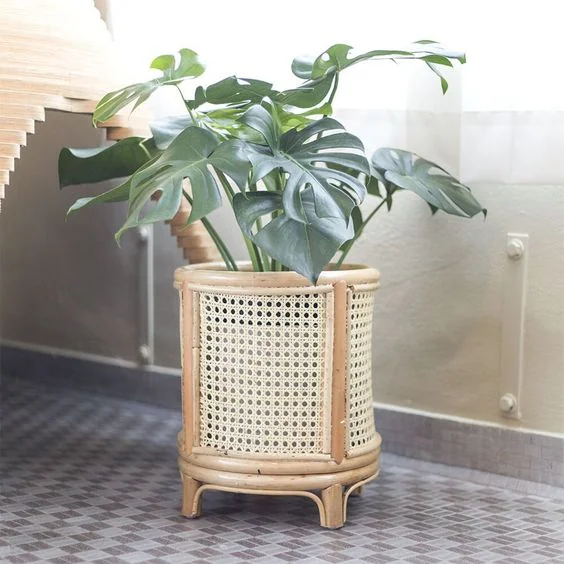 Indoor Pots 6