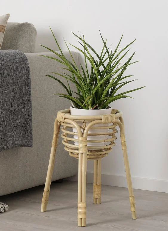 Indoor Pots 4