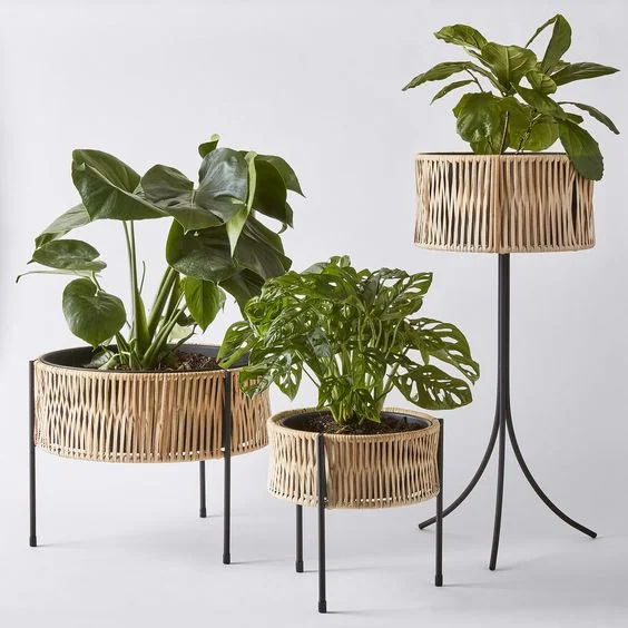 Indoor Pots 8