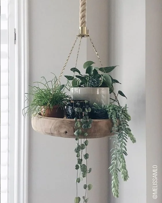 Hanging Pots 3